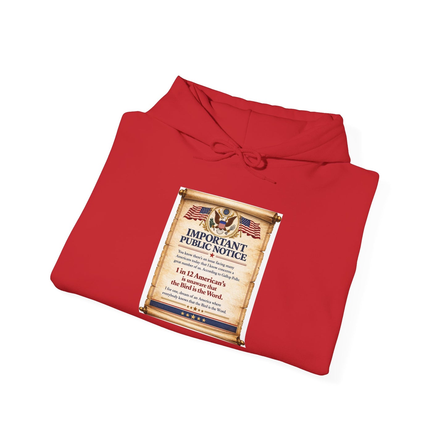 ‘Important Public Notice' Hoodie