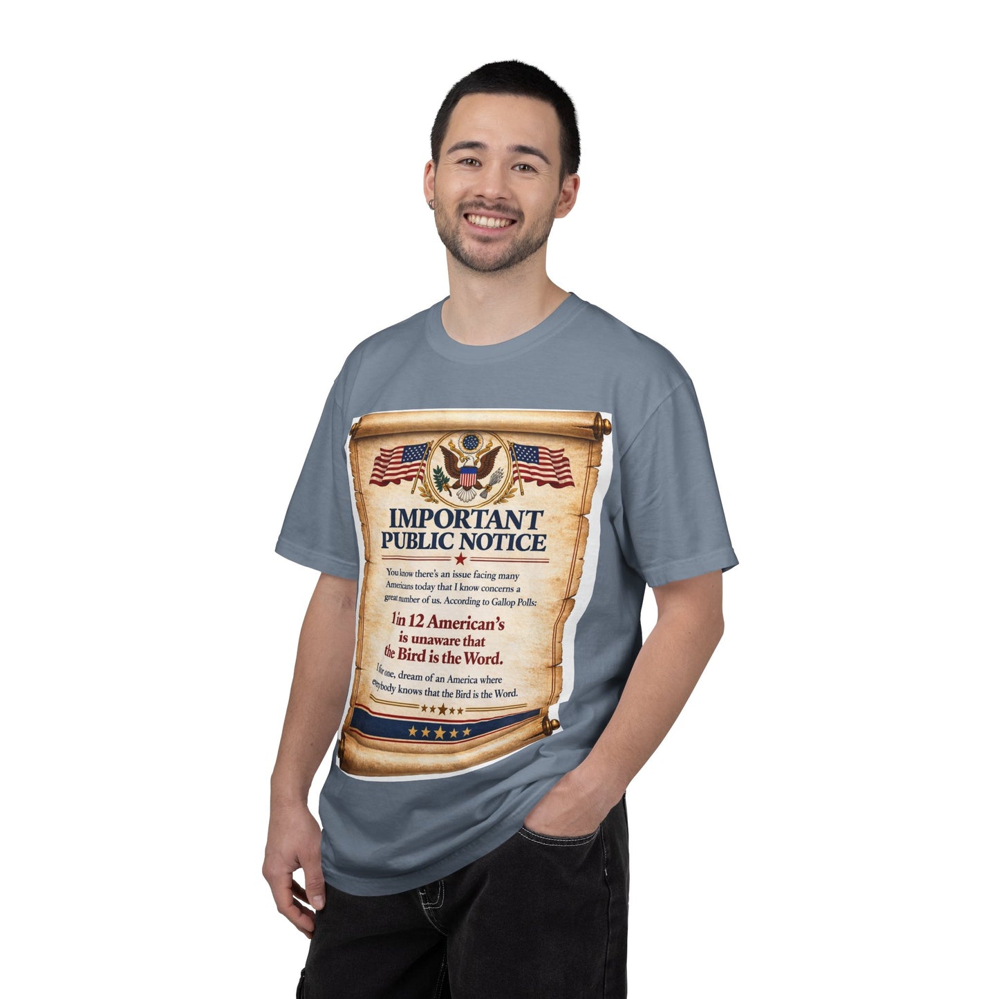 ‘Important Public Notice’ Tee