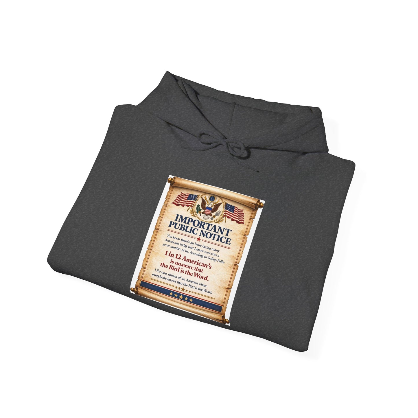 ‘Important Public Notice' Hoodie