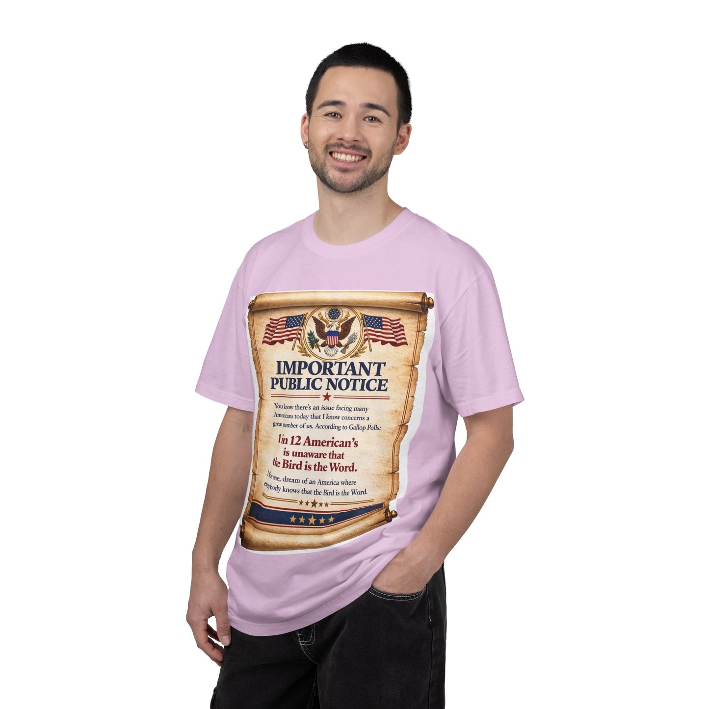 ‘Important Public Notice’ Tee