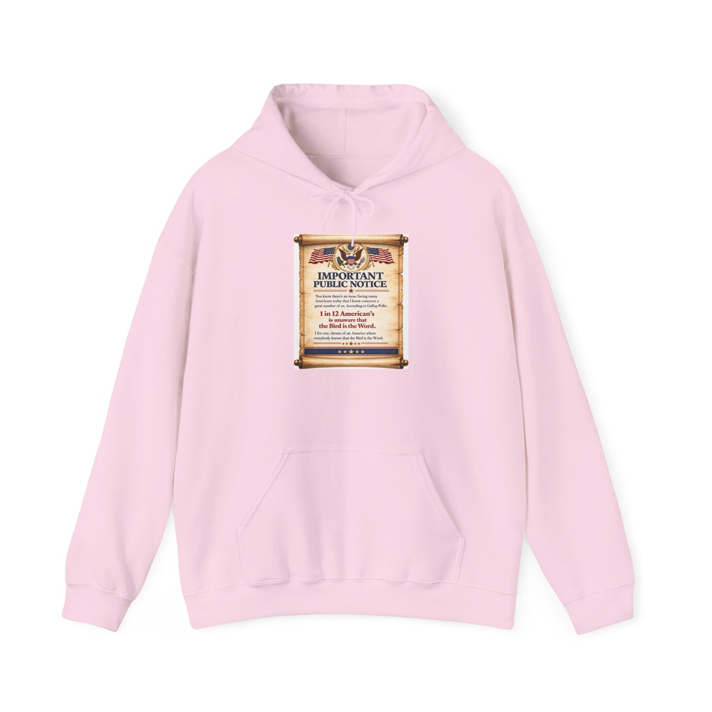 ‘Important Public Notice' Hoodie