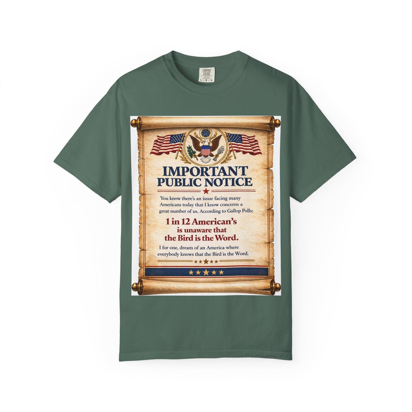 ‘Important Public Notice’ Tee