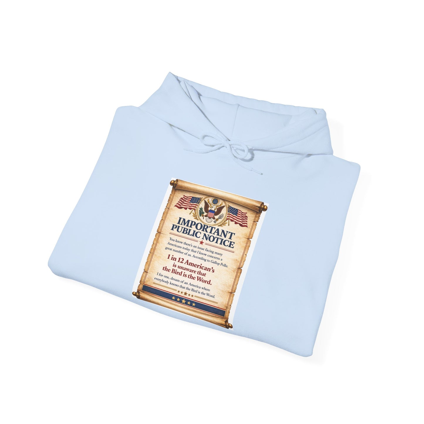 ‘Important Public Notice' Hoodie