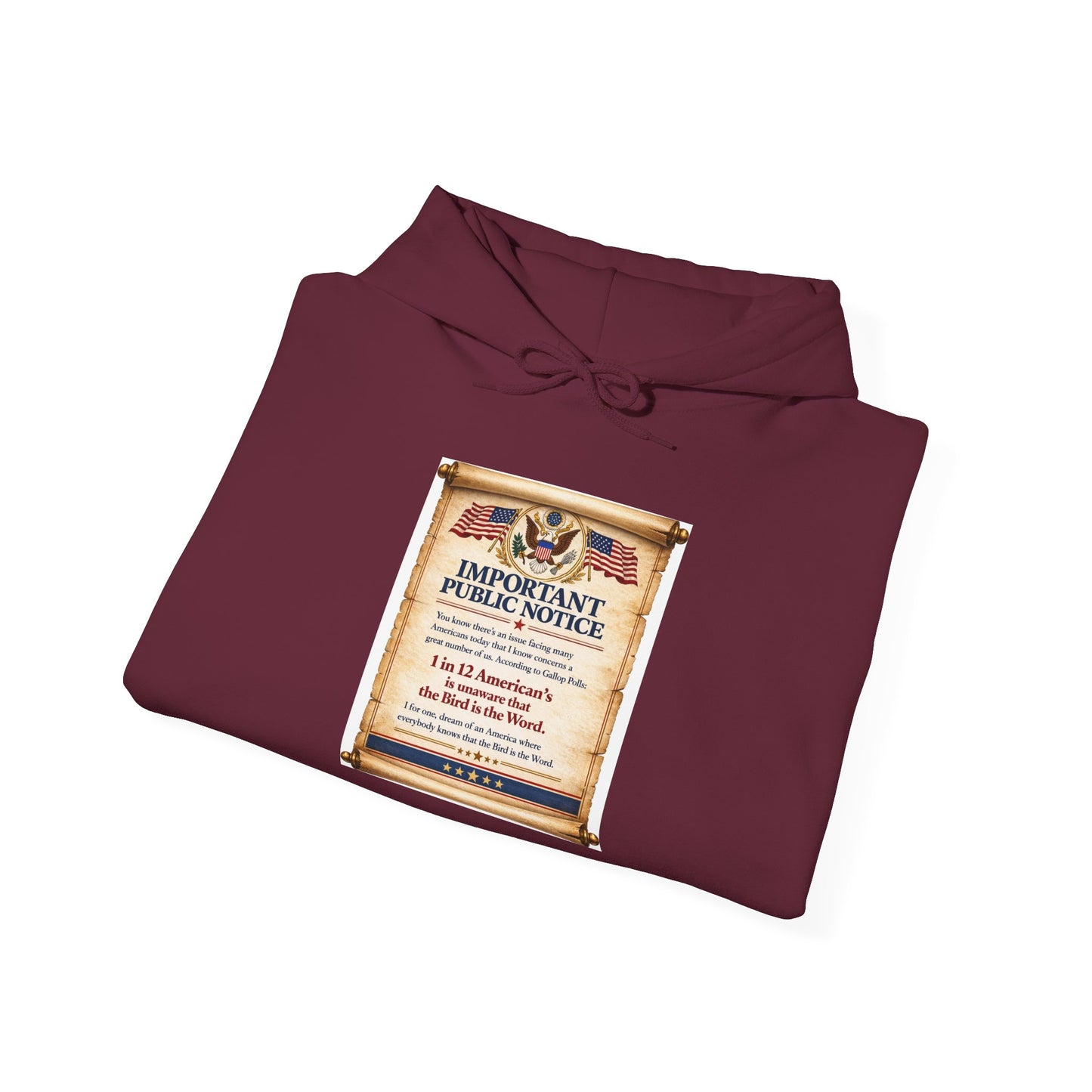 ‘Important Public Notice' Hoodie