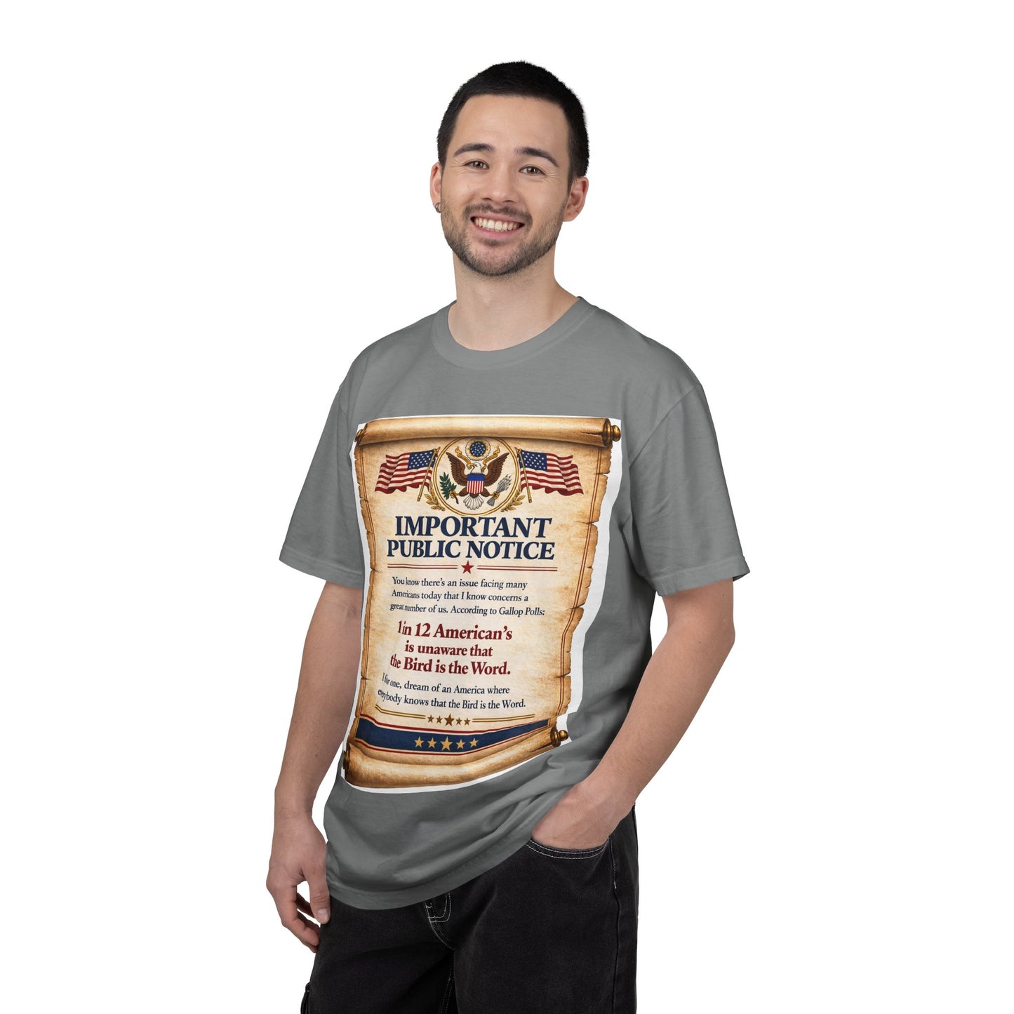 ‘Important Public Notice’ Tee