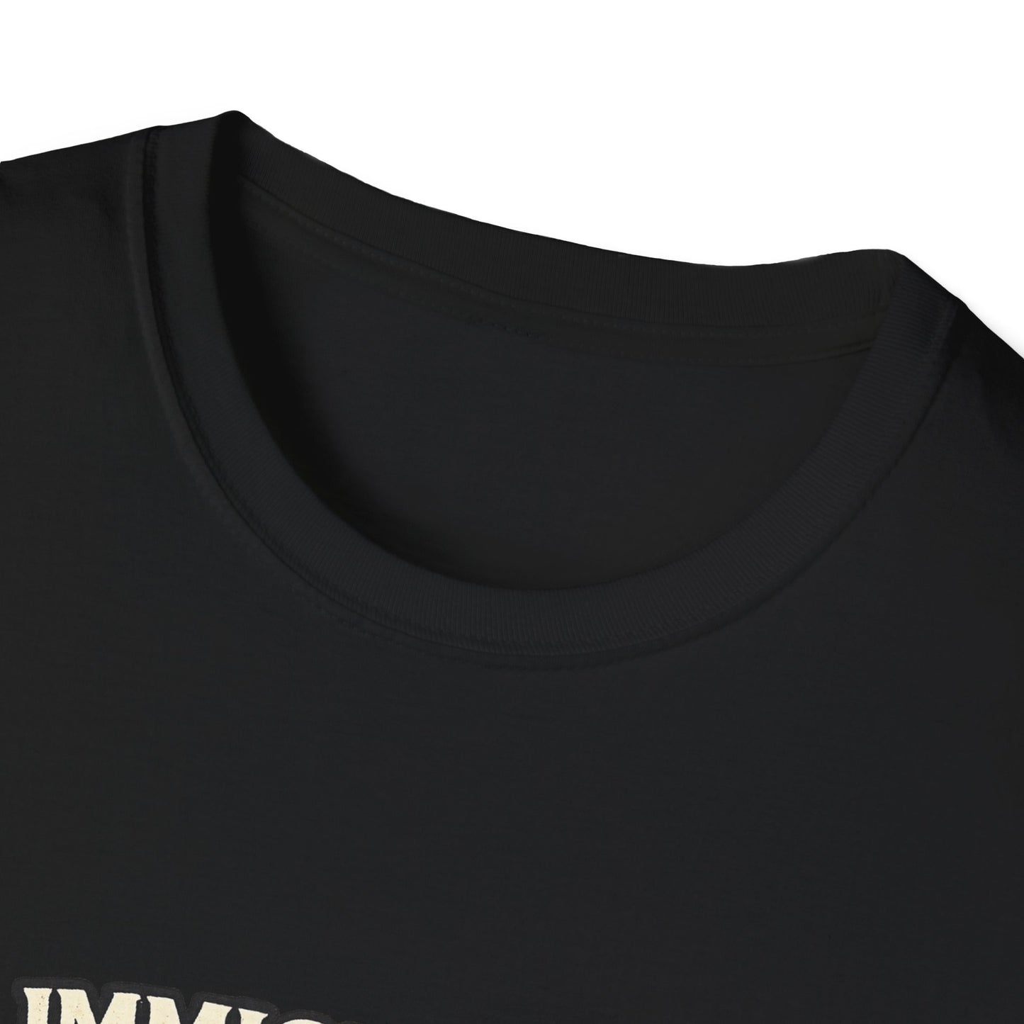 ‘Immigrants Make America’ Vintage Flag Tee