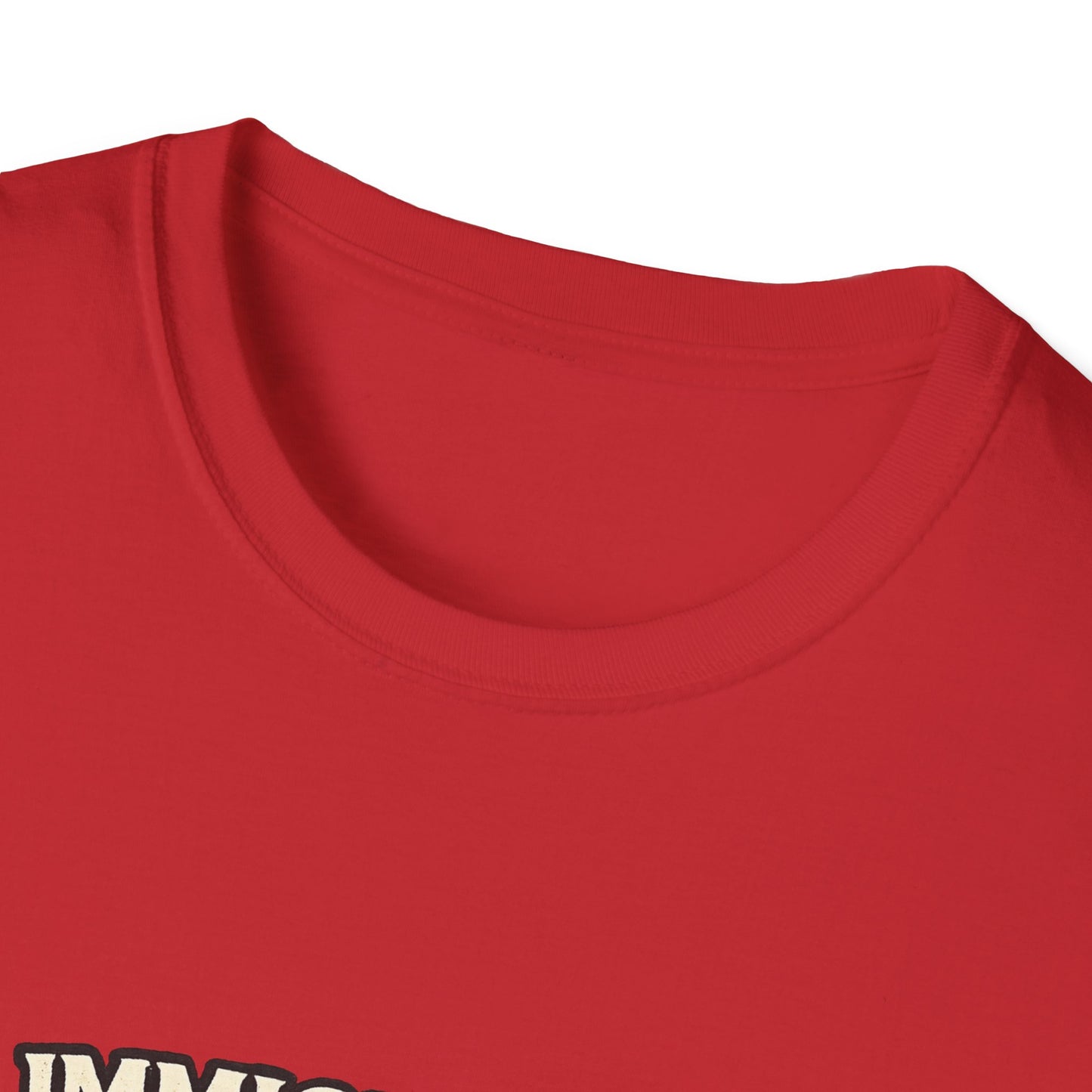 ‘Immigrants Make America’ Vintage Flag Tee