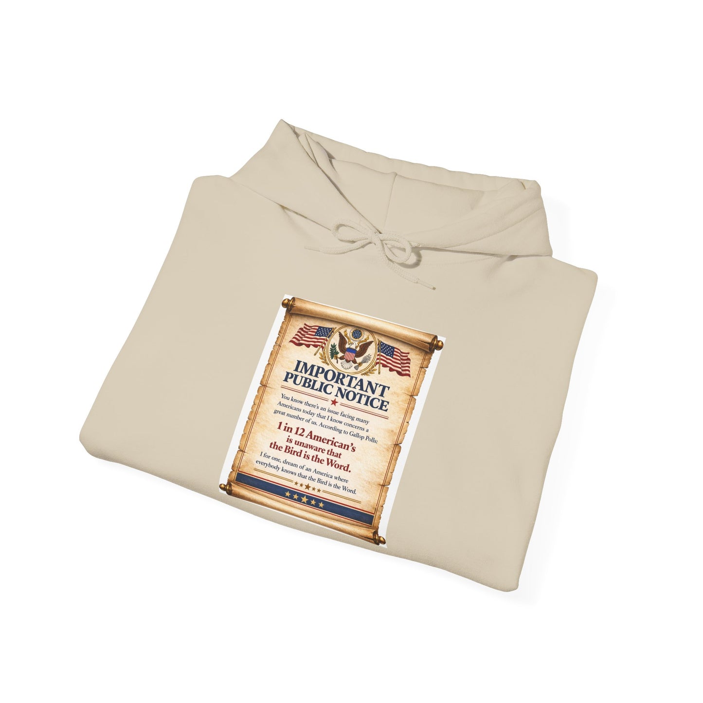 ‘Important Public Notice' Hoodie