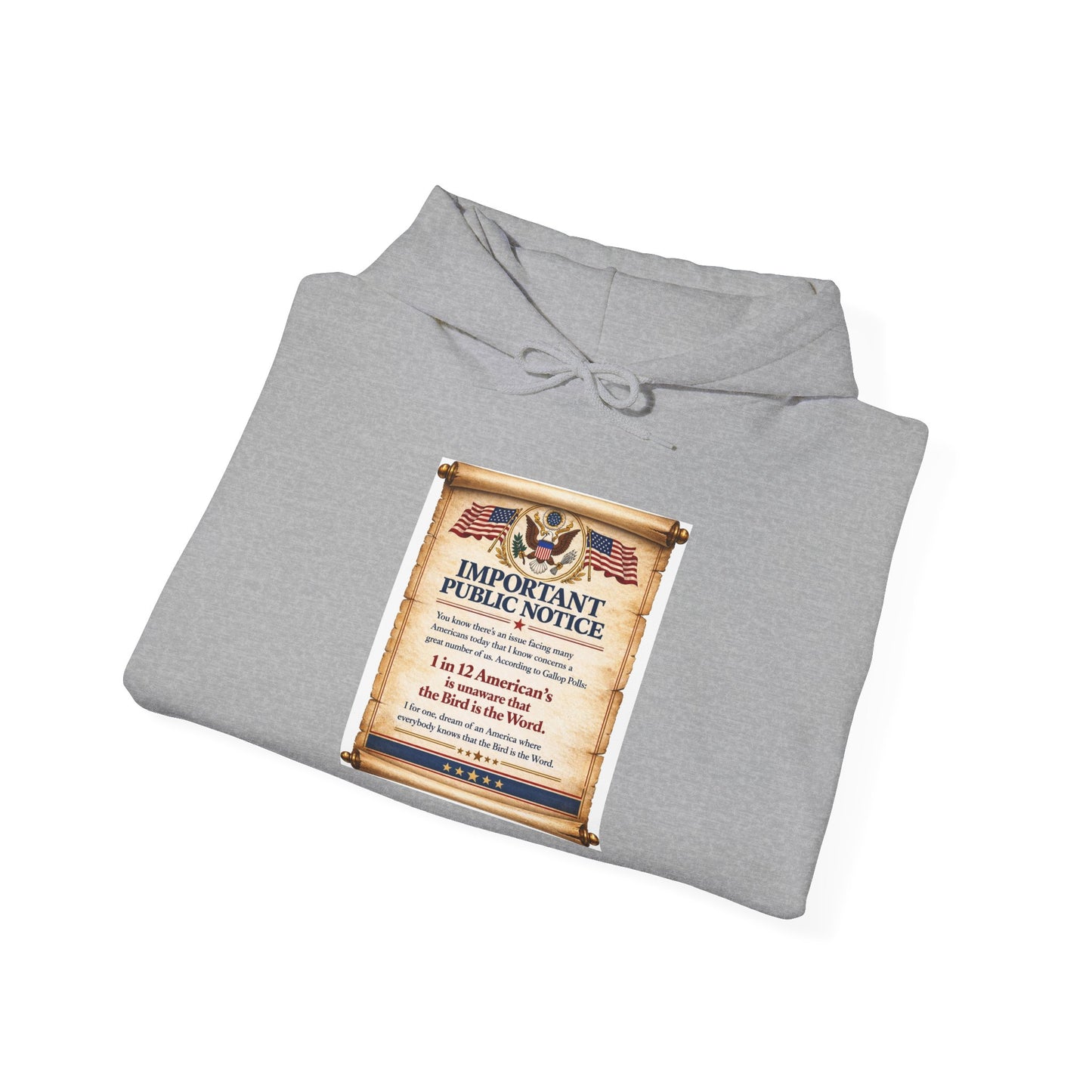 ‘Important Public Notice' Hoodie