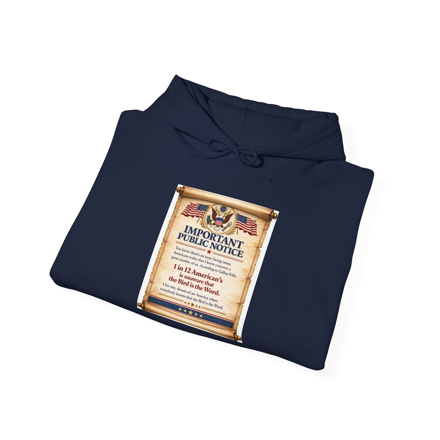 ‘Important Public Notice' Hoodie