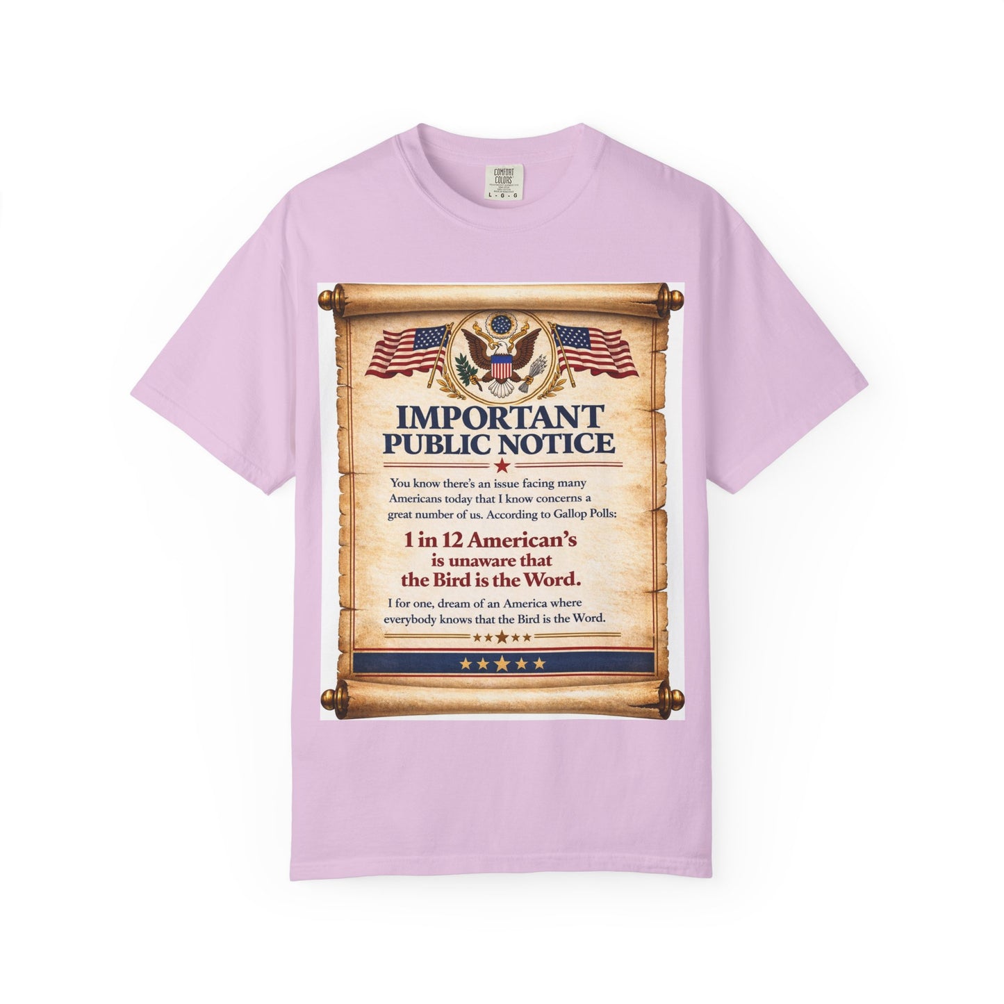 ‘Important Public Notice’ Tee
