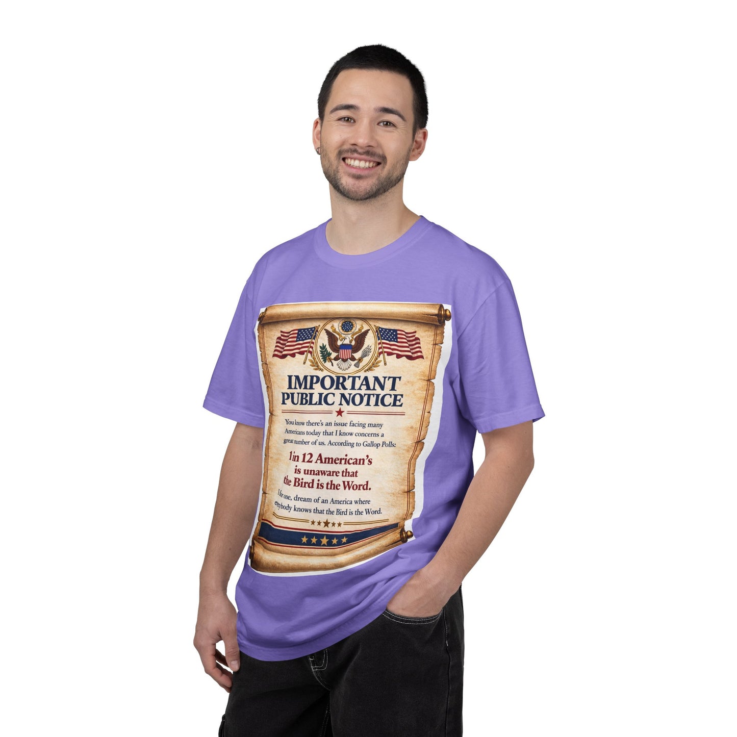 ‘Important Public Notice’ Tee