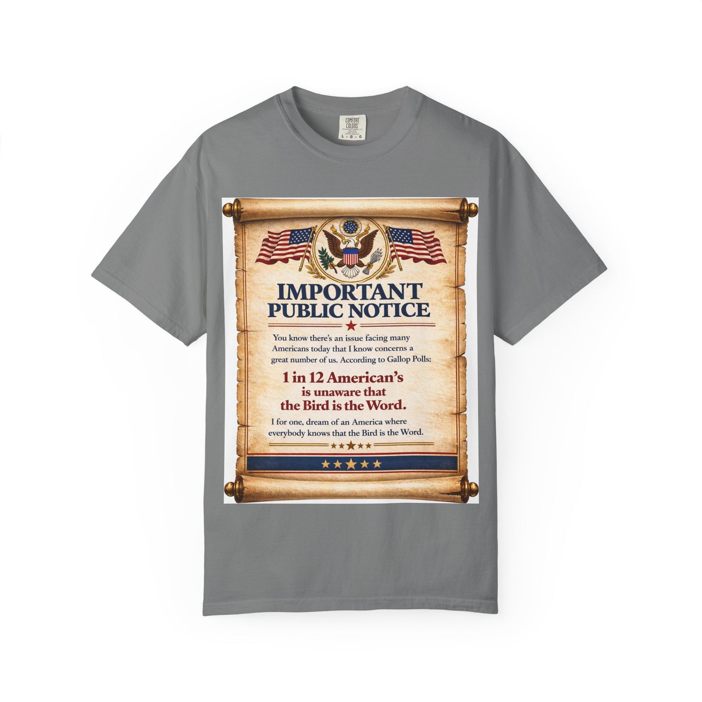 ‘Important Public Notice’ Tee