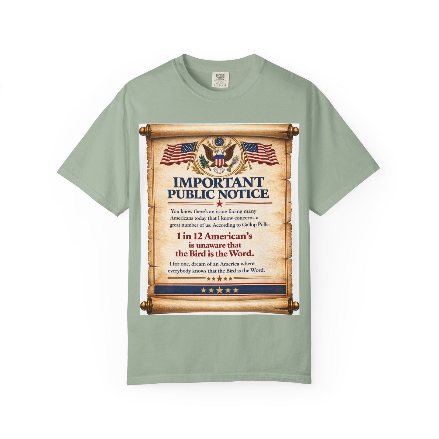 ‘Important Public Notice’ Tee