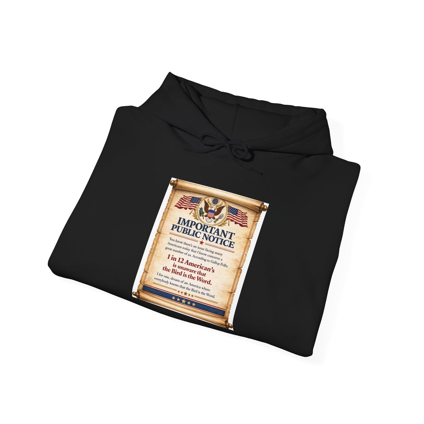 ‘Important Public Notice' Hoodie