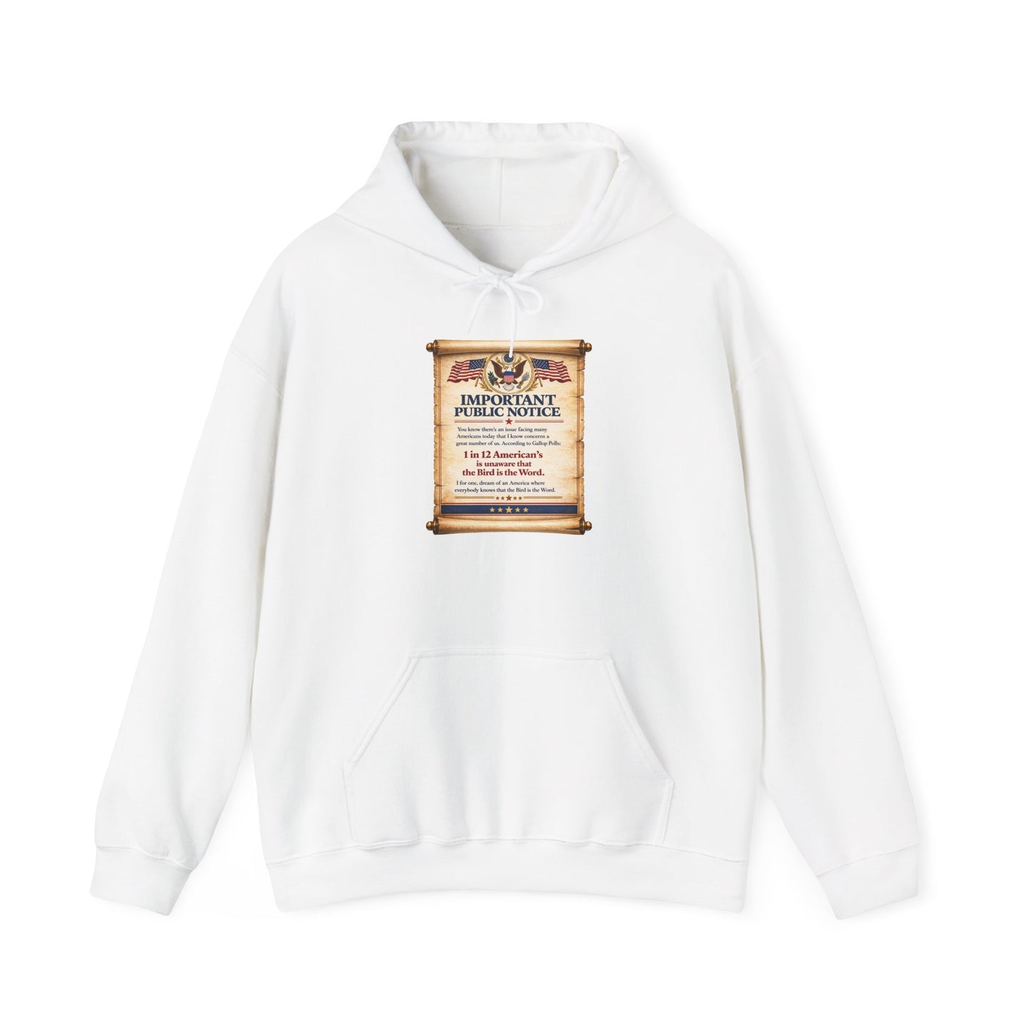 ‘Important Public Notice' Hoodie