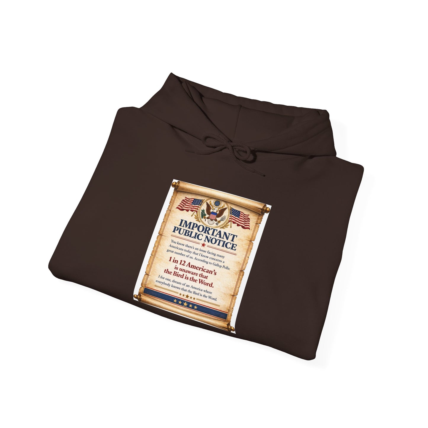 ‘Important Public Notice' Hoodie