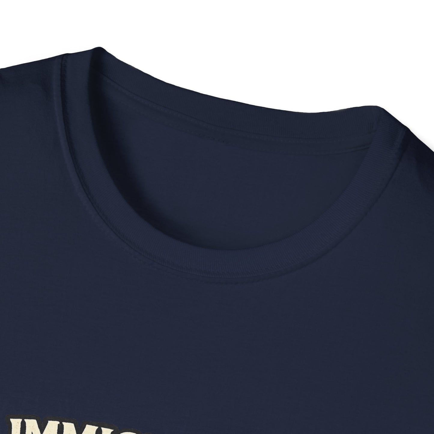 ‘Immigrants Make America’ Vintage Flag Tee