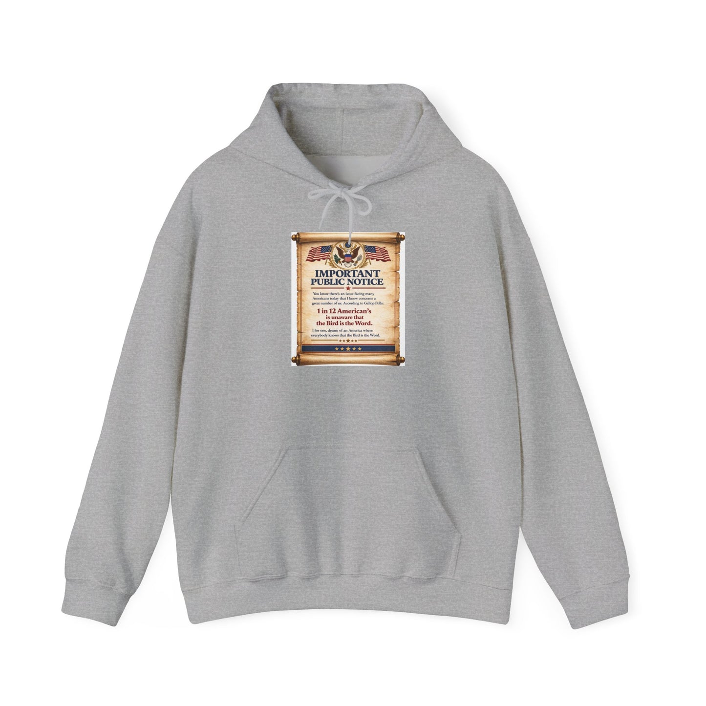 ‘Important Public Notice' Hoodie