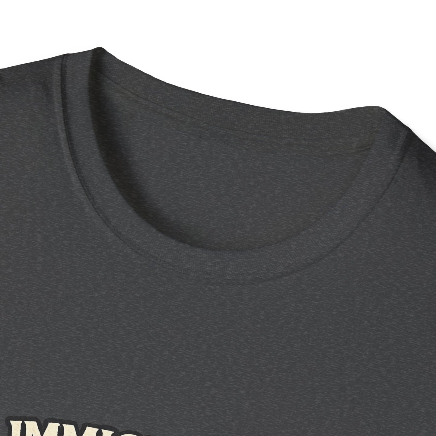 ‘Immigrants Make America’ Vintage Flag Tee
