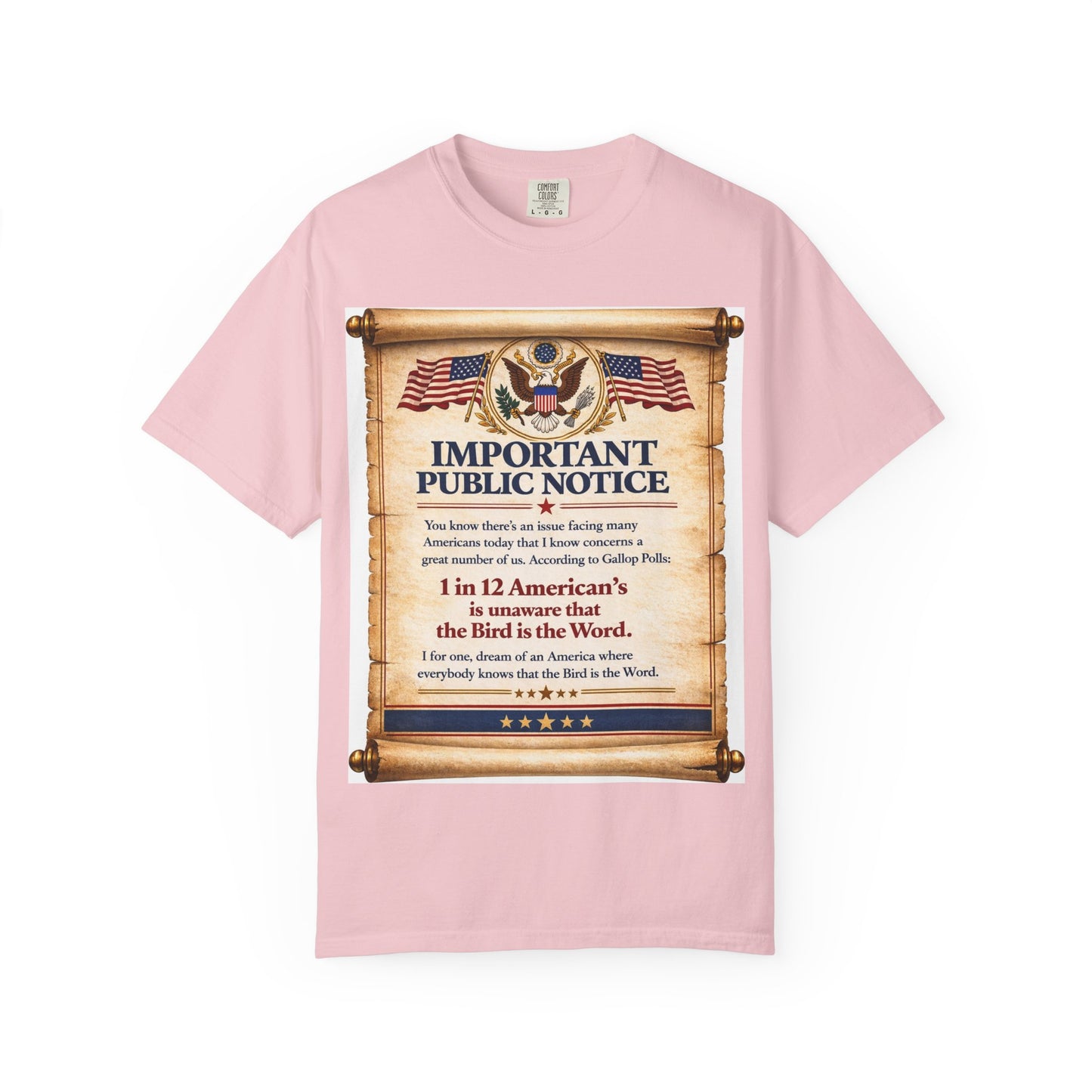 ‘Important Public Notice’ Tee