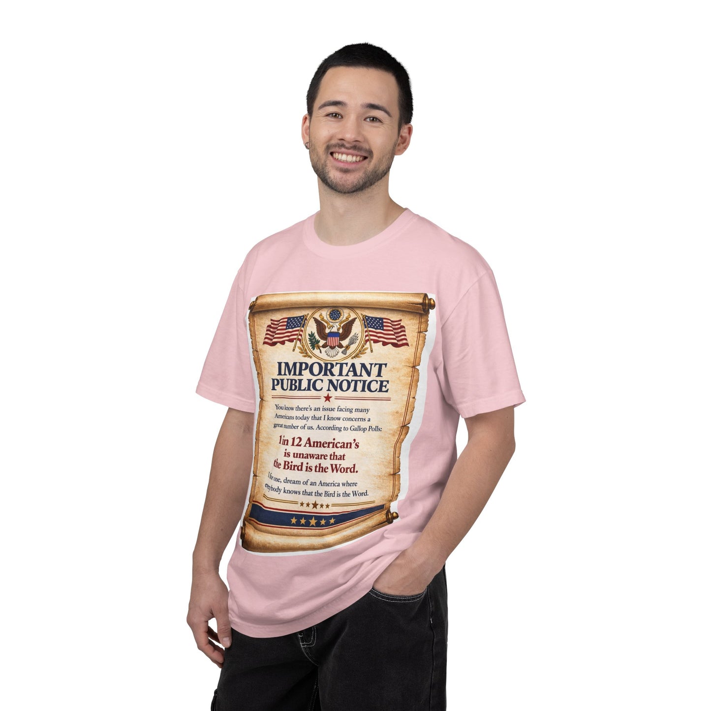 ‘Important Public Notice’ Tee