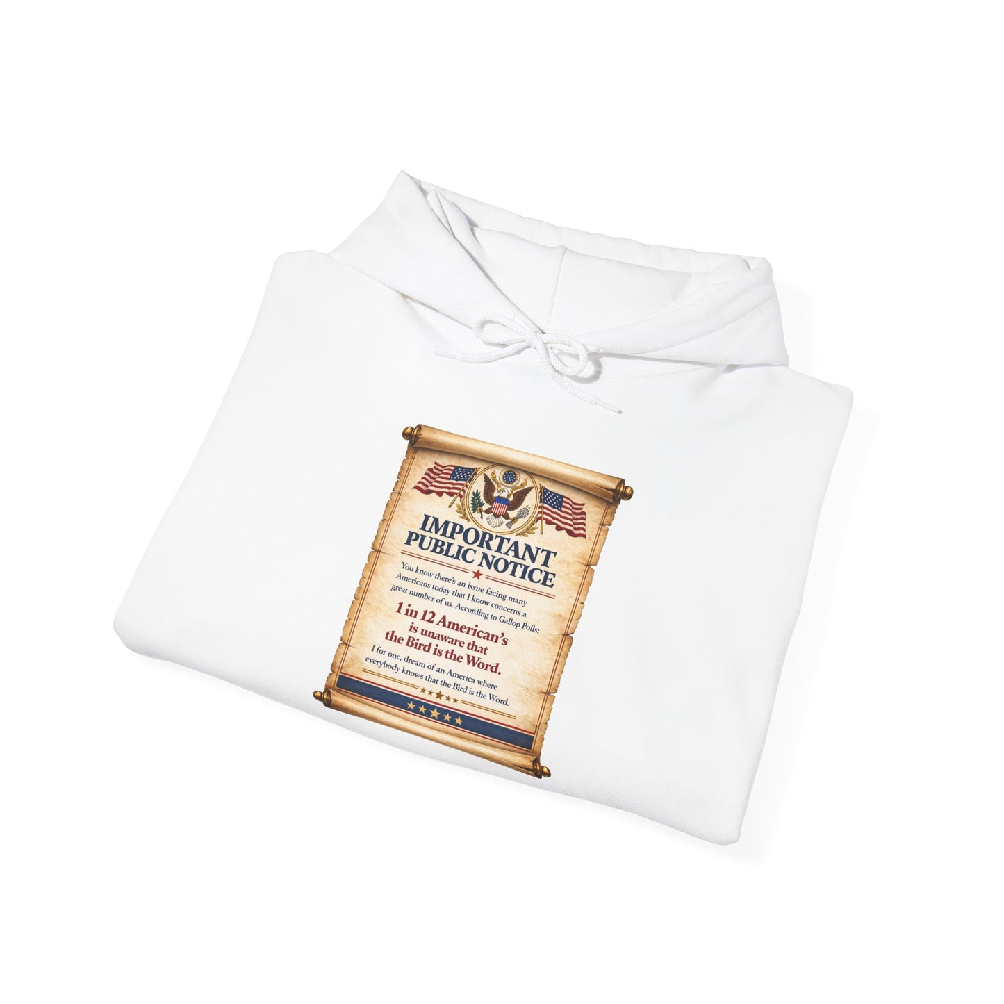 ‘Important Public Notice' Hoodie
