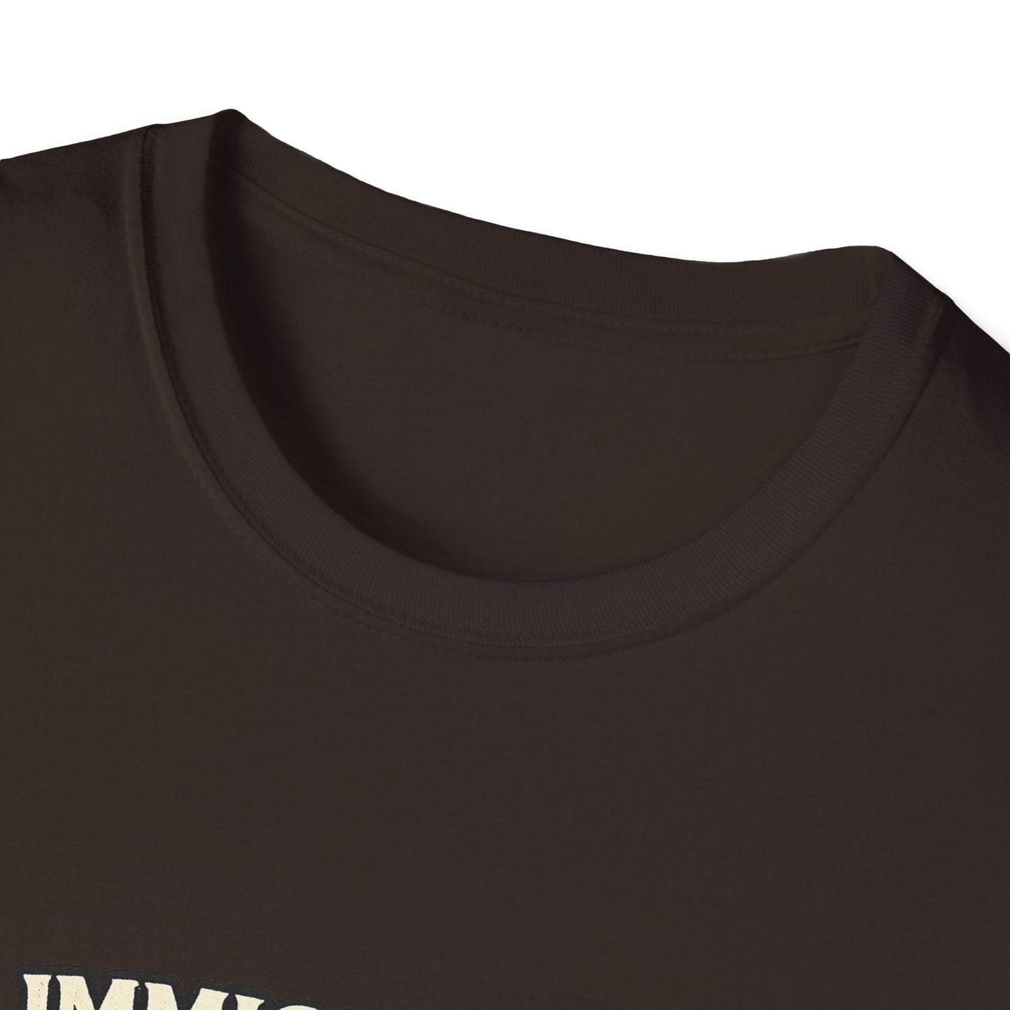 ‘Immigrants Make America’ Vintage Flag Tee