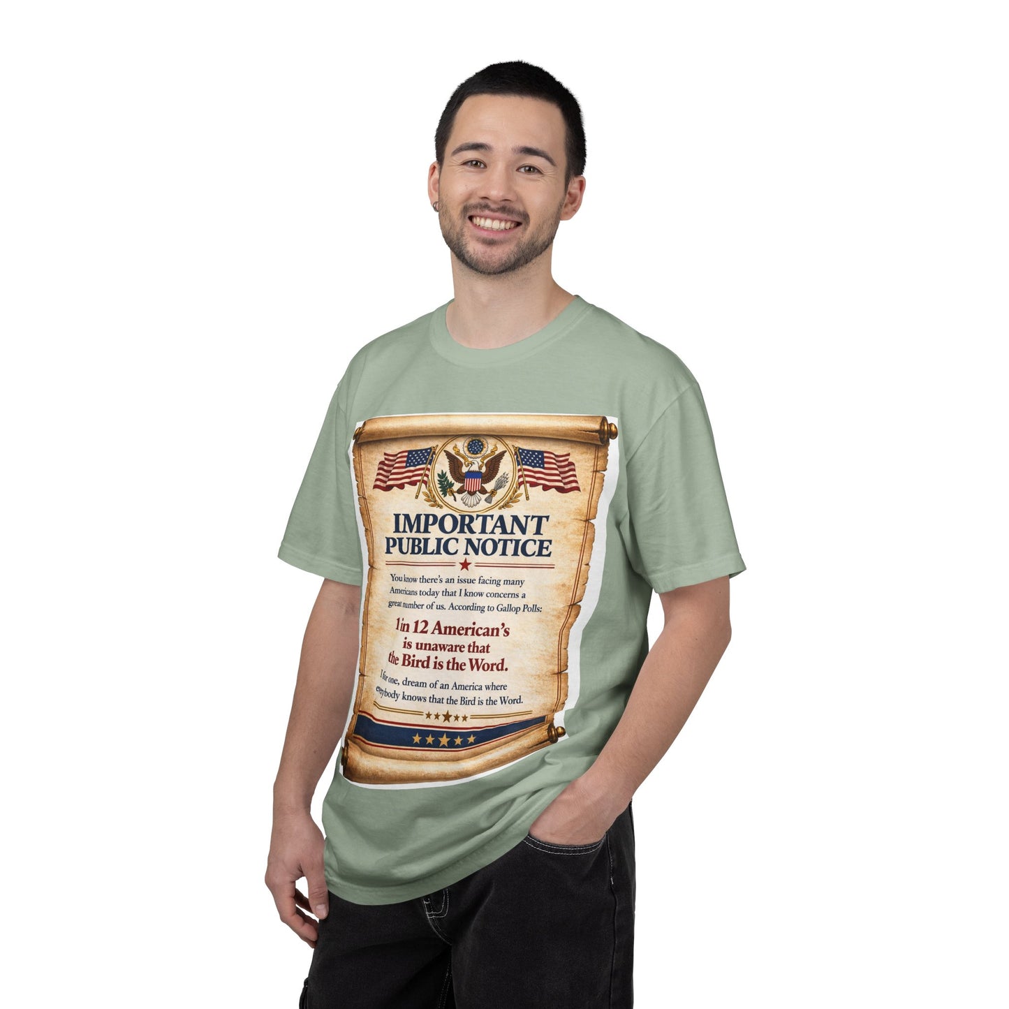 ‘Important Public Notice’ Tee