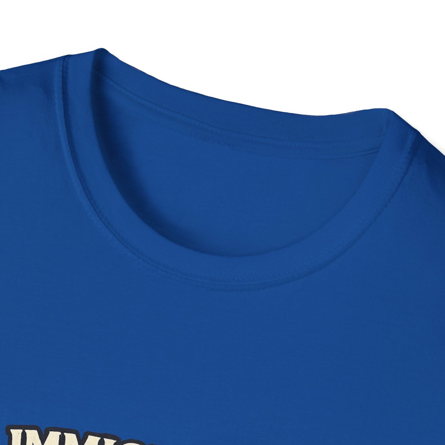 ‘Immigrants Make America’ Vintage Flag Tee