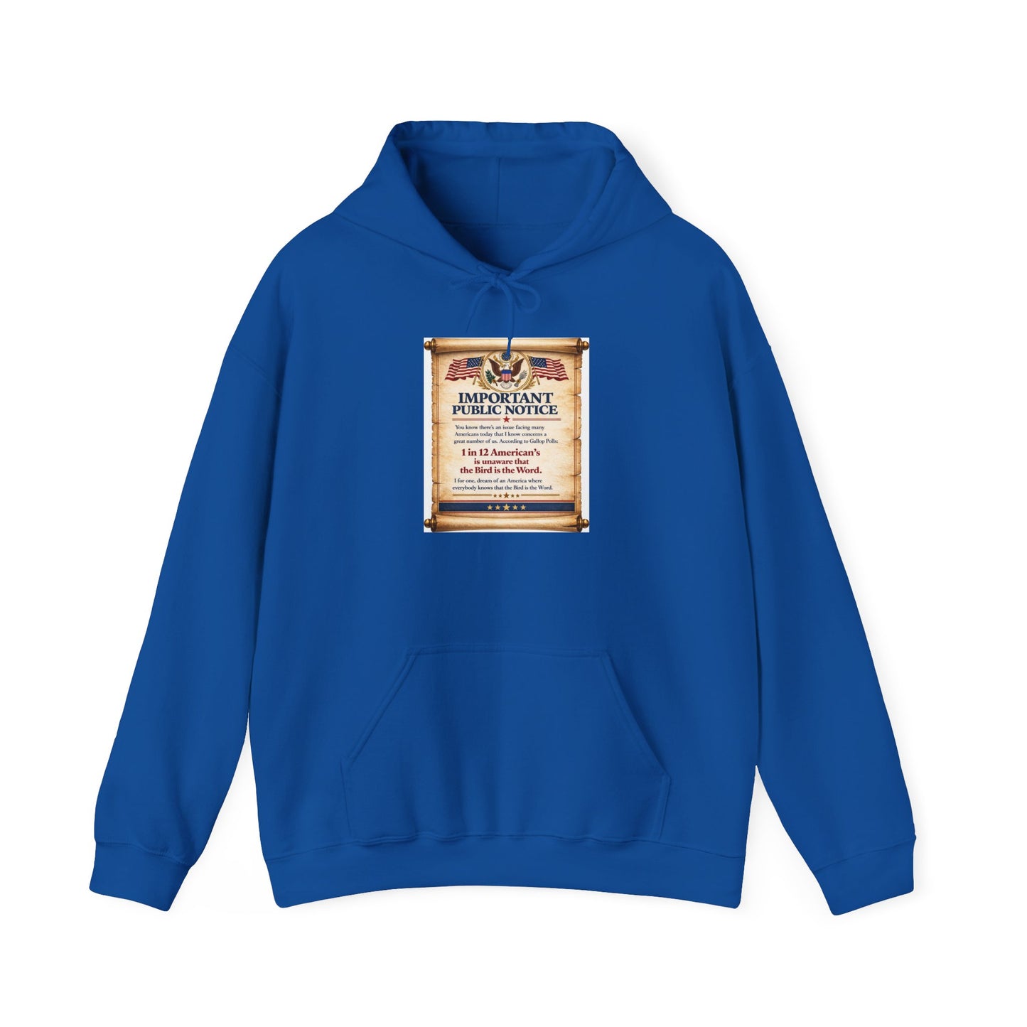‘Important Public Notice' Hoodie