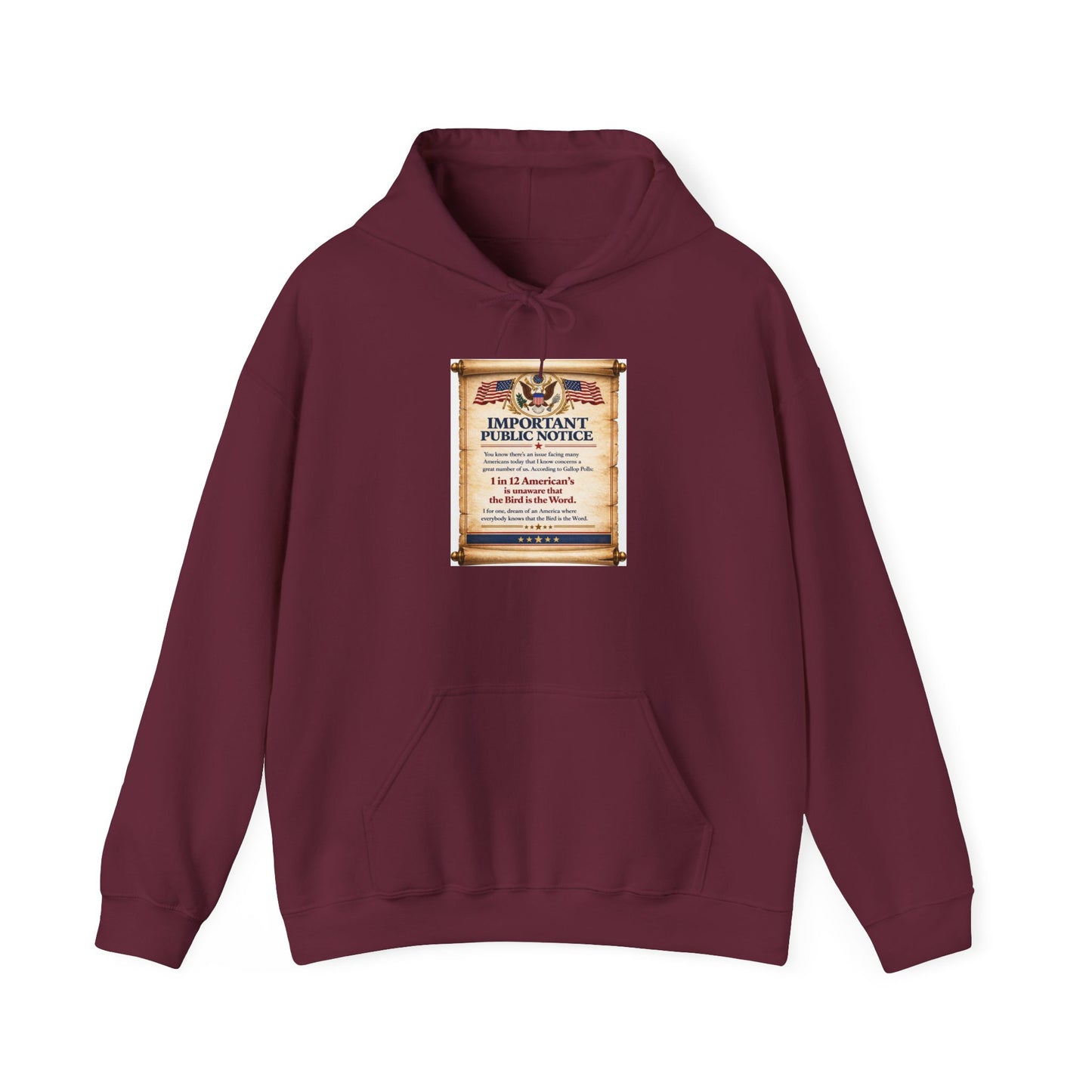 ‘Important Public Notice' Hoodie