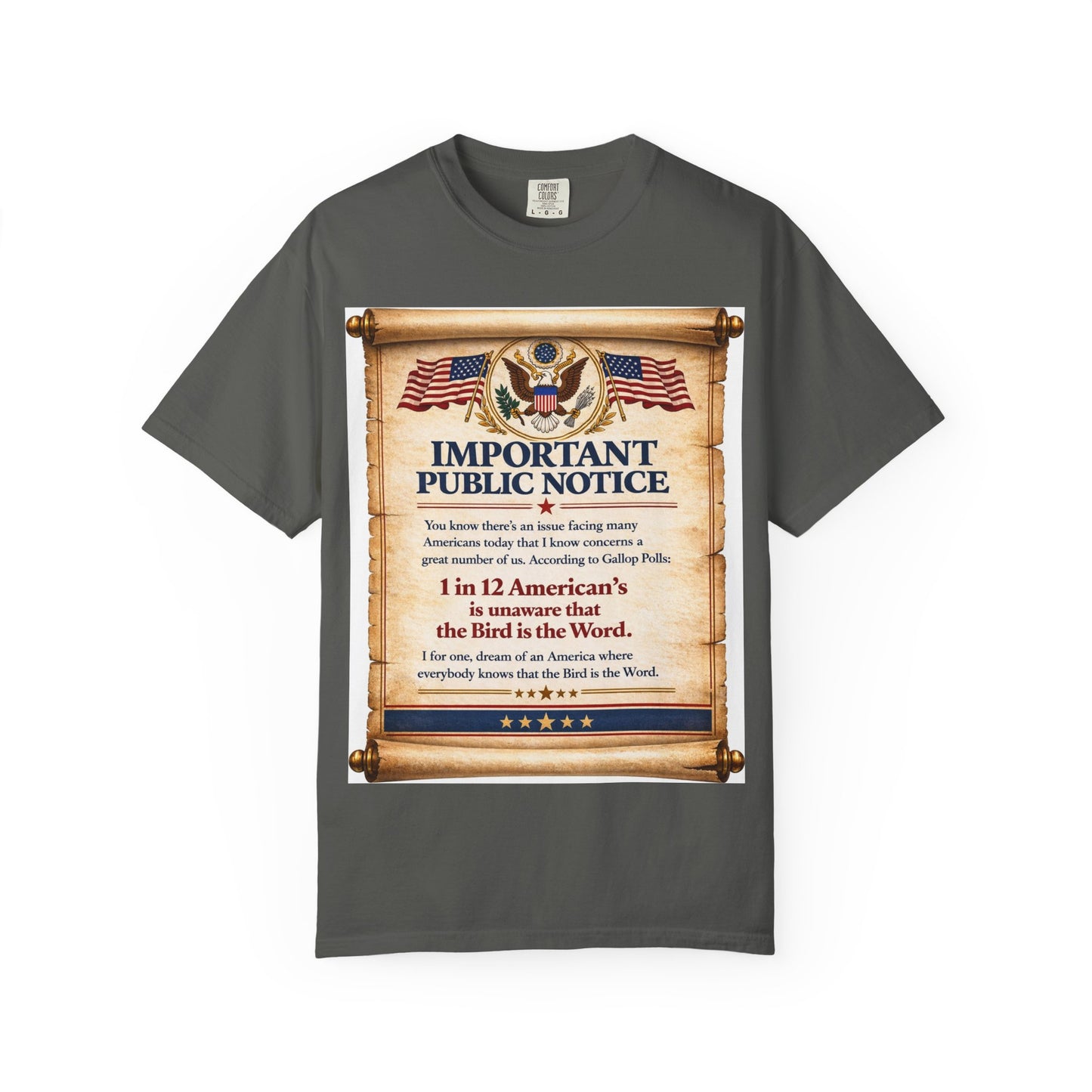 ‘Important Public Notice’ Tee