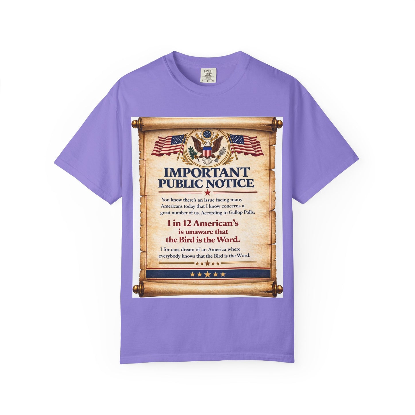 ‘Important Public Notice’ Tee