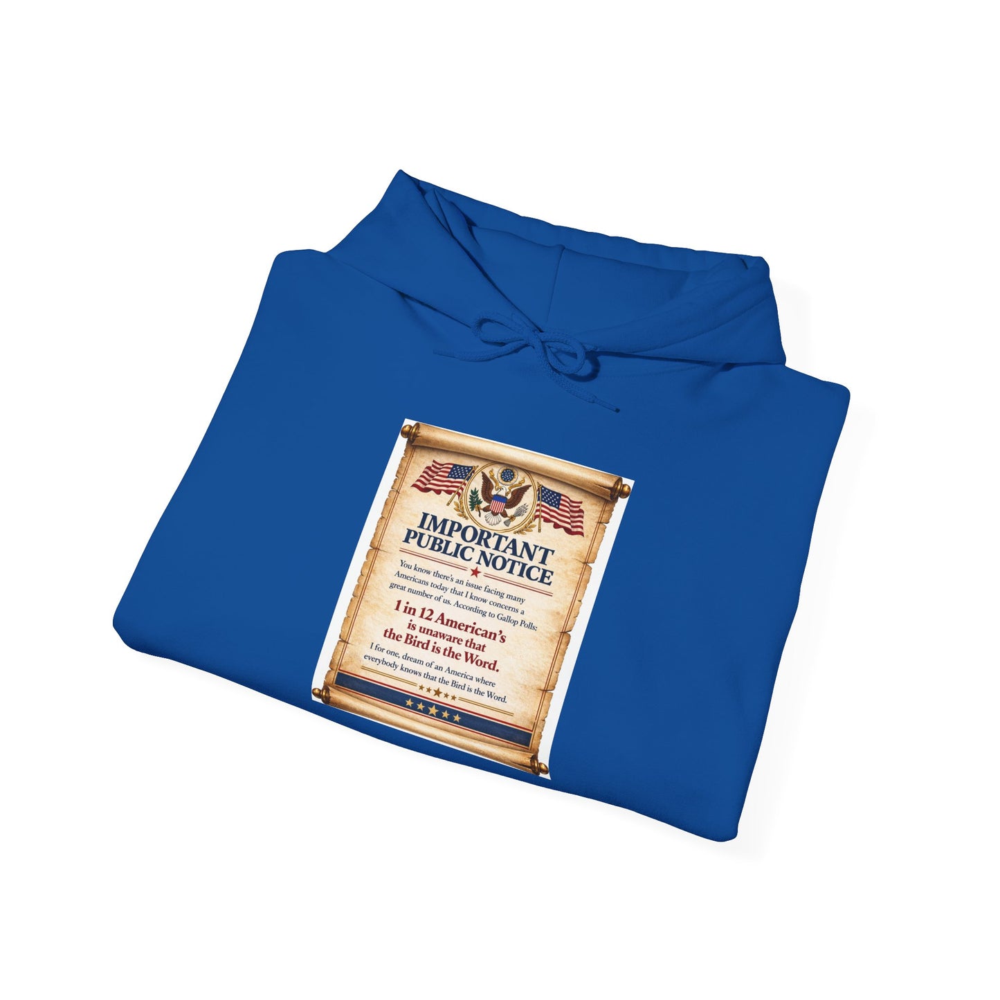 ‘Important Public Notice' Hoodie