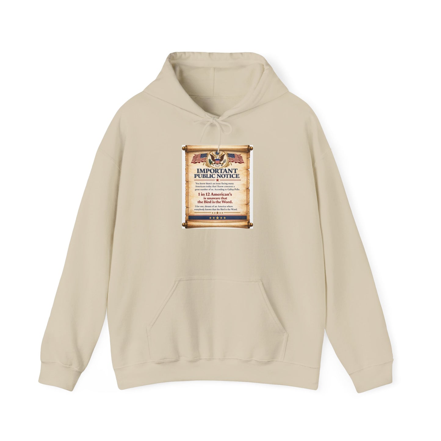 ‘Important Public Notice' Hoodie