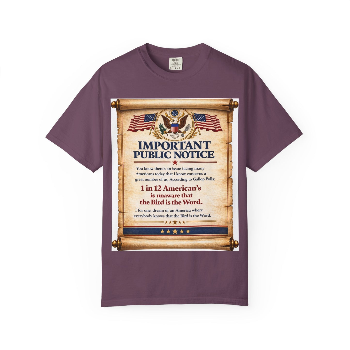 ‘Important Public Notice’ Tee