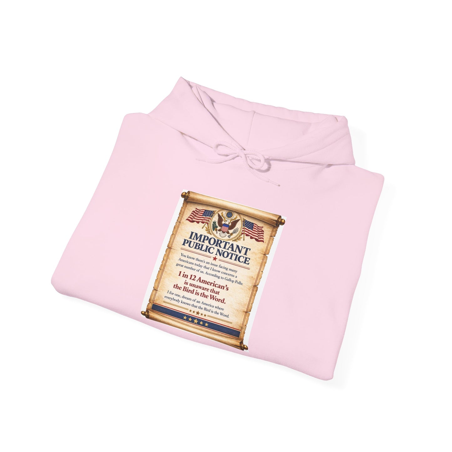 ‘Important Public Notice' Hoodie
