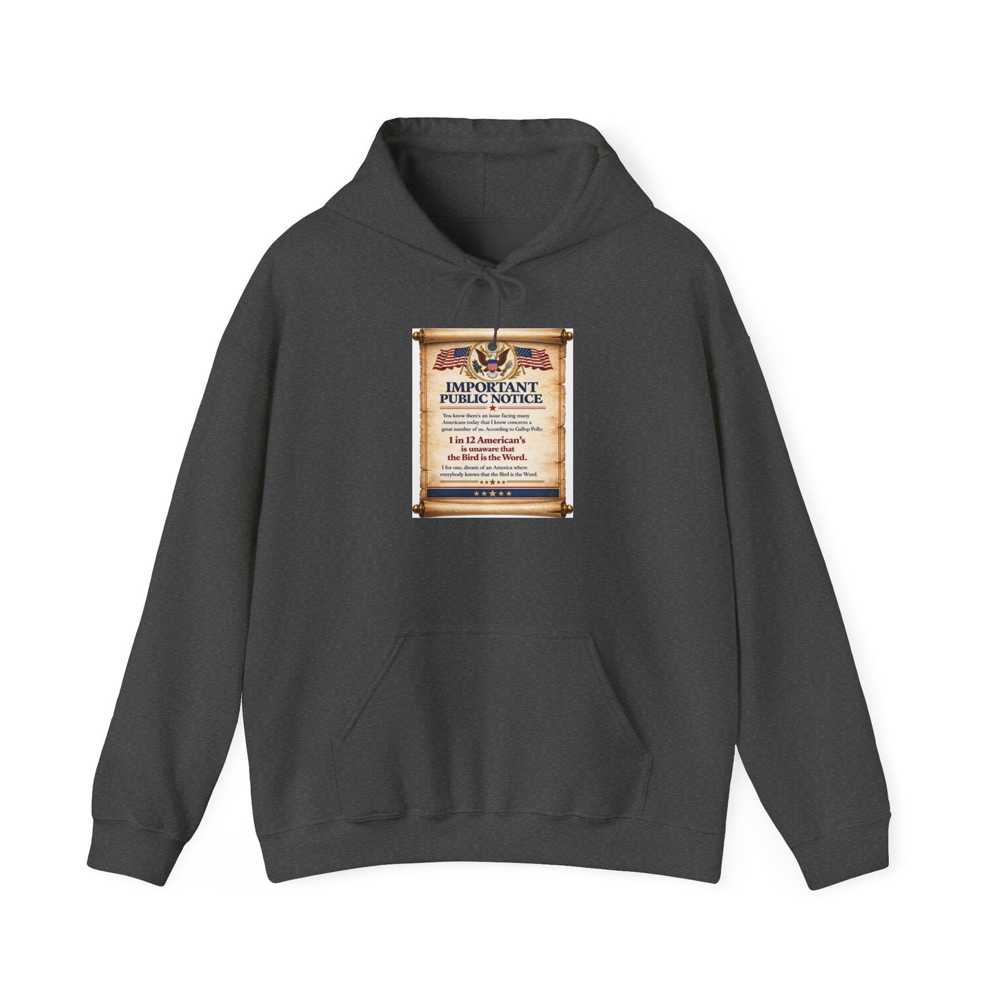 ‘Important Public Notice' Hoodie