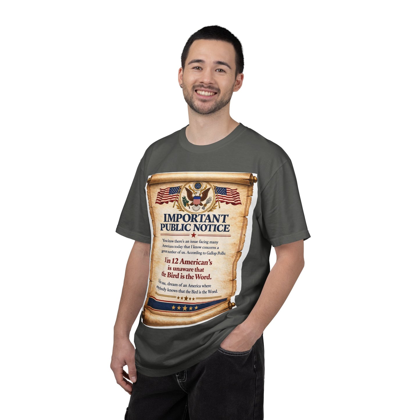 ‘Important Public Notice’ Tee