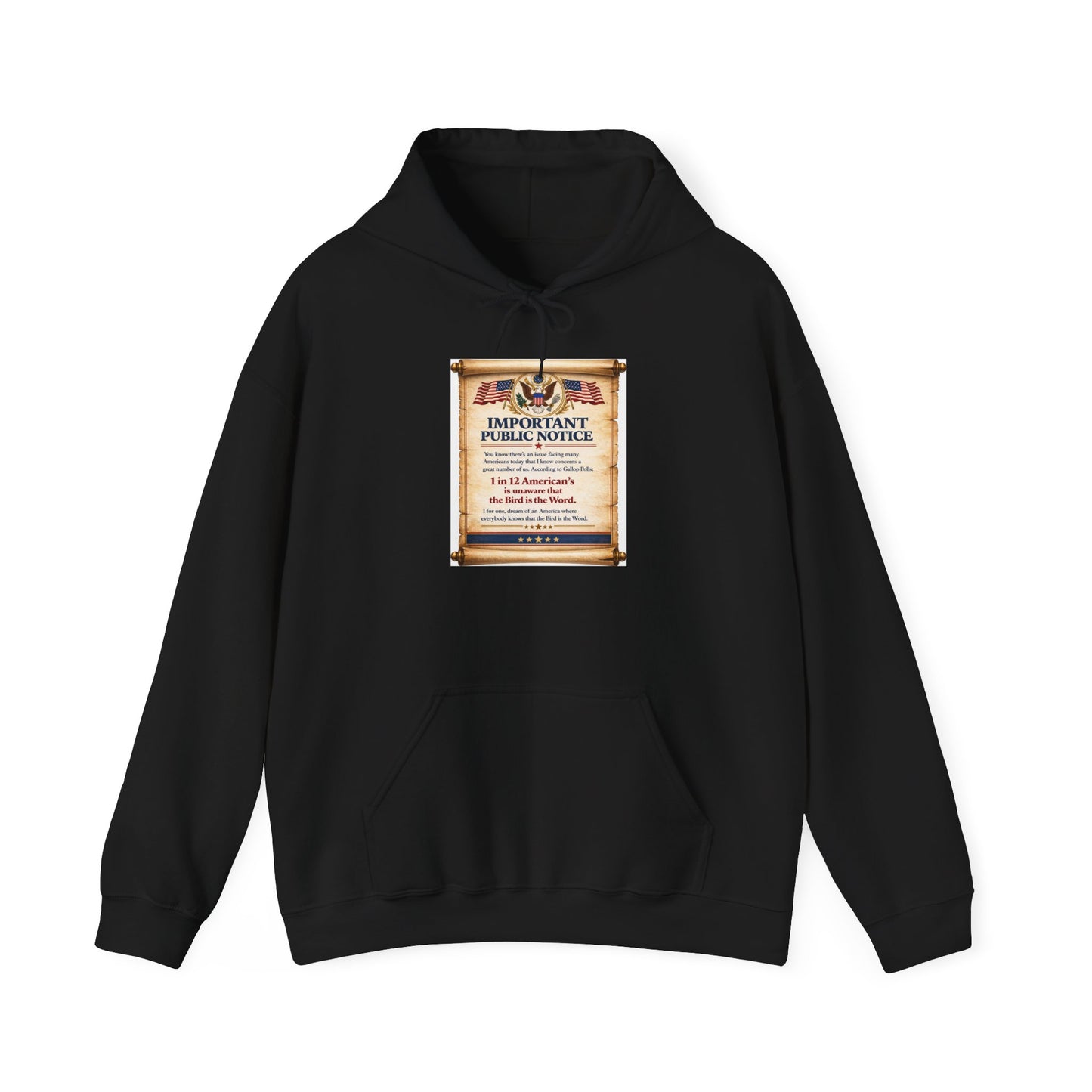 ‘Important Public Notice' Hoodie